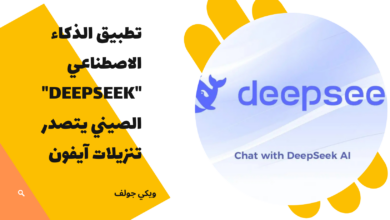 DeepSeek