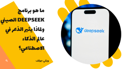 DeepSeek