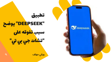 DeepSeek