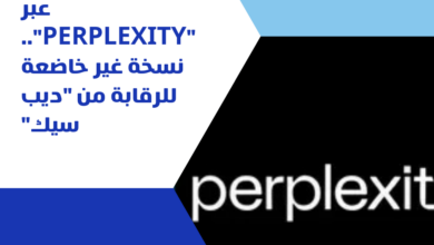 Perplexity