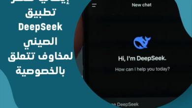 DeepSeek