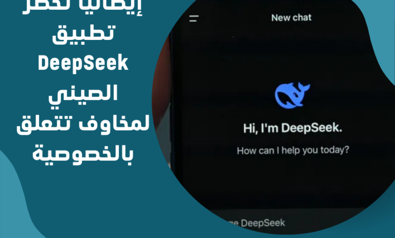 DeepSeek