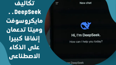 DeepSeek