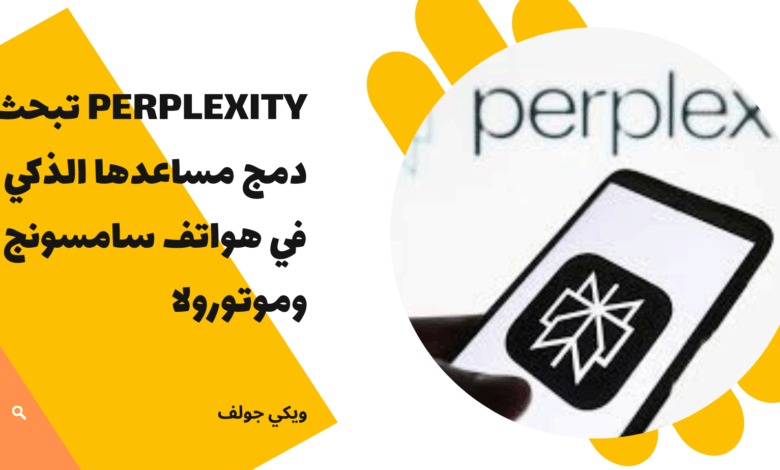 Perplexity
