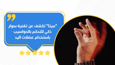 ميتا