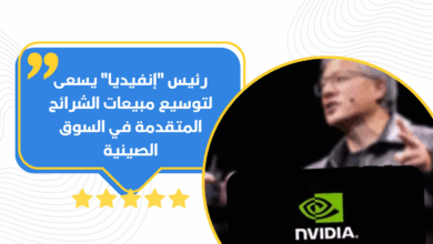 إنفيديا