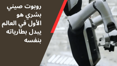 روبوت صيني