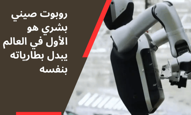 روبوت صيني