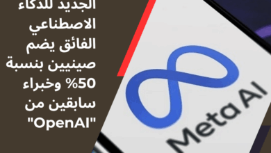 ميتا