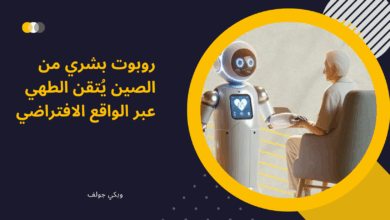 روبوت بشري