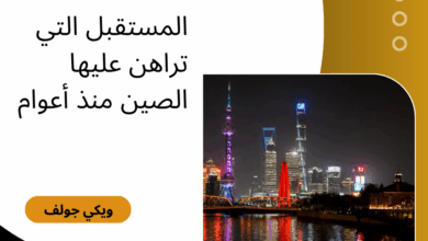 الصين