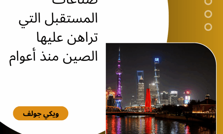الصين