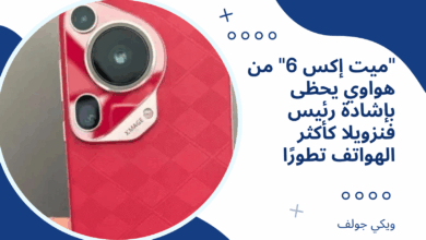 "ميت إكس 6