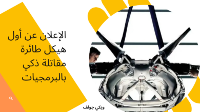 طائرة مقاتلة