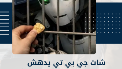 شات جي بي تي