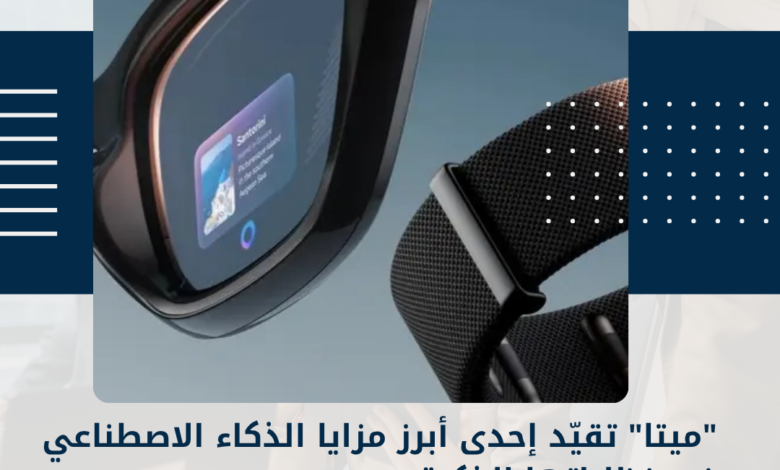 ميتا