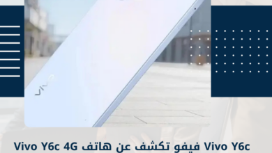 فيفو