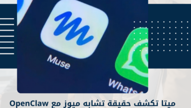 ميتا