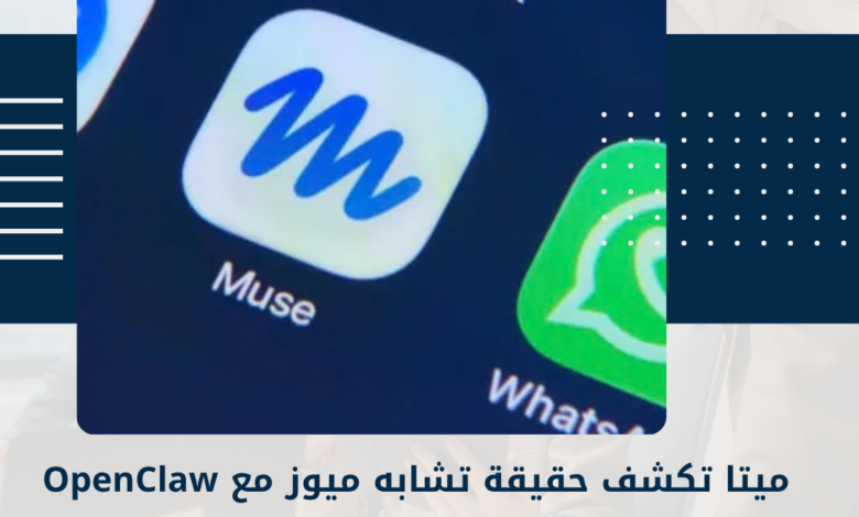 ميتا