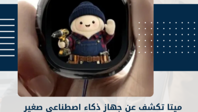 ميتا