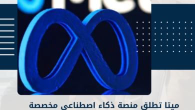 ميتا